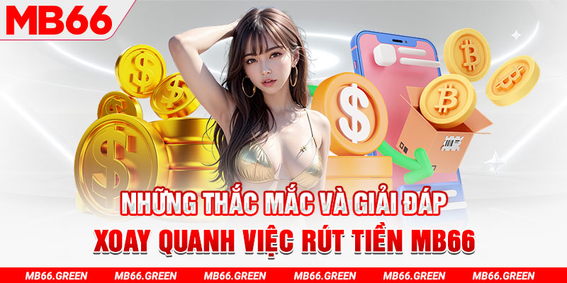 vipvin Ludo Quick