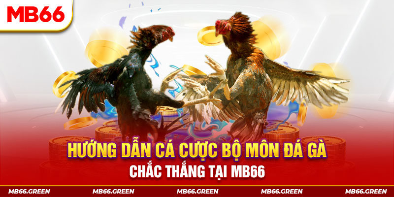 vipvin CQ9 Điện Tử