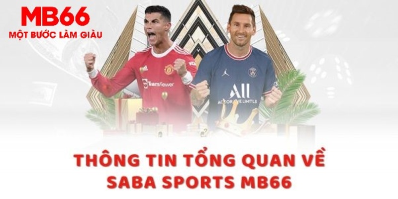 vipvin trực tiếp xổ số miền bắc