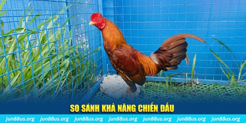 vipvin xổ số tiền giang