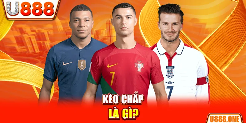 vipvin chổi lông gà