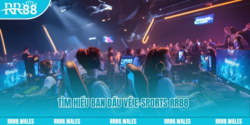 vipvin 8 bit khi nào nổ hũ