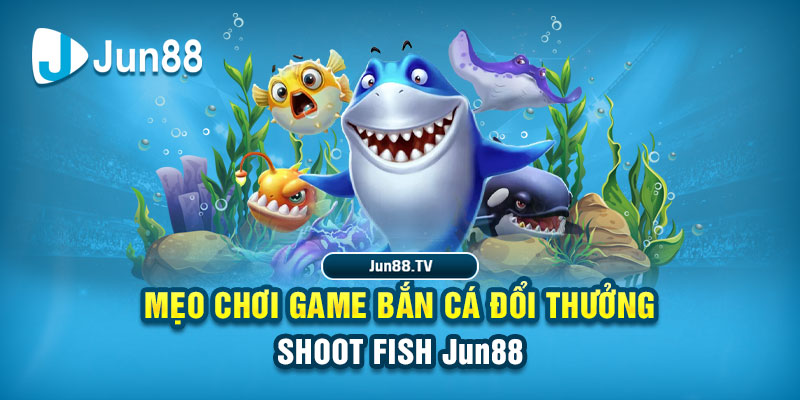 vipvin tai game danh bai bigkool ve may tinh