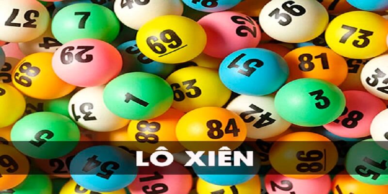 vipvin what is a casino comp program