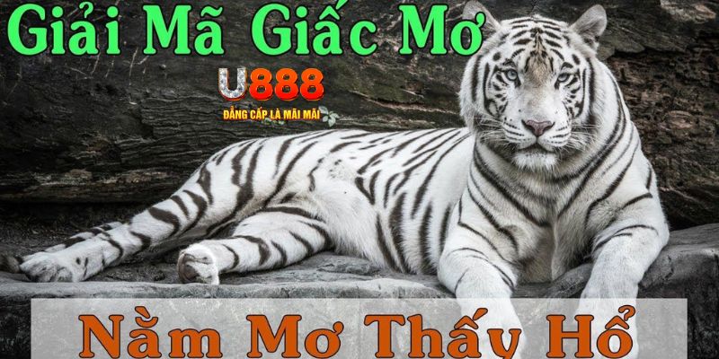vipvin xổ số kiến thiết miền bắc