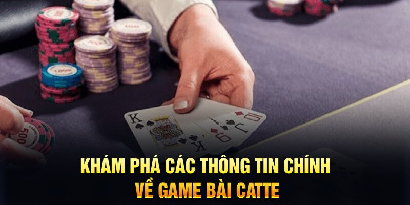 vipvin Trăm người Bo tám Bo chín