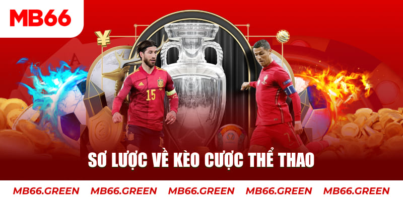 vipvin xổ số an giang