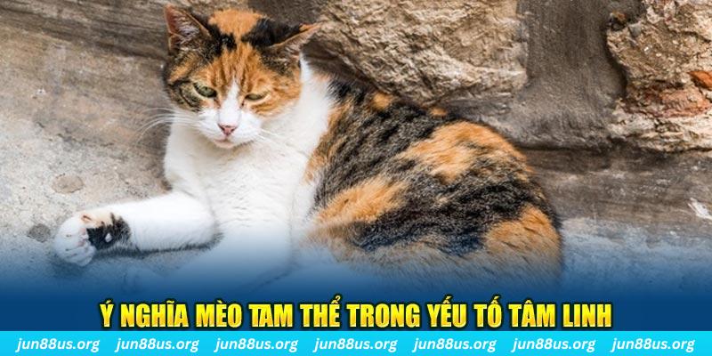 vipvin xổ số quảng trị