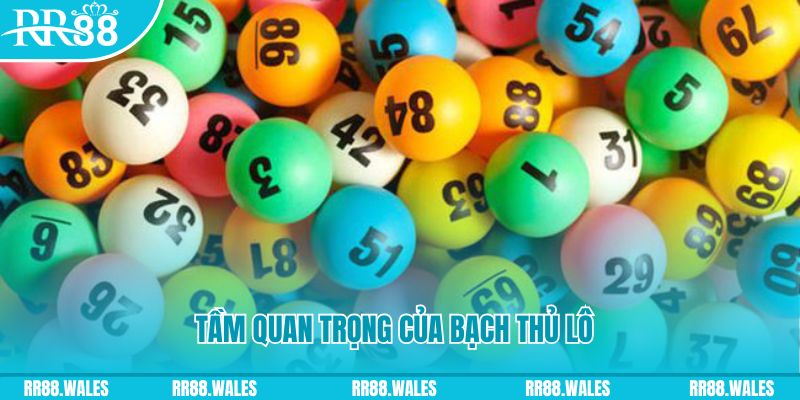 vipvin đá gà trực tiếp casino