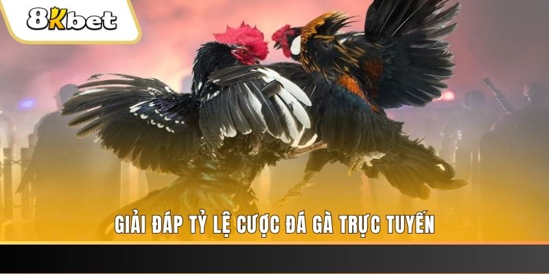 vipvin xổ số ba đài