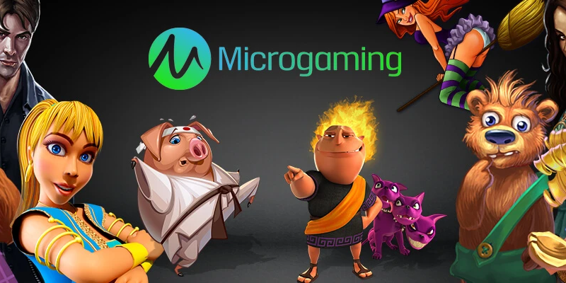 vipvin 1 slot là gì