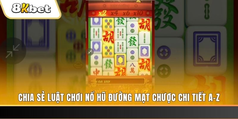 vipvin xổ số kiến thiết