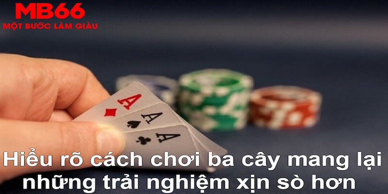 vipvin ÁT CHỦ BÀI GIÀNH LẤY ZHUANG NIUNIU ( XEM 3 LÁ )