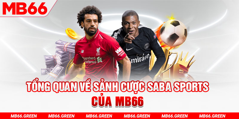 vipvin slot có nghĩa là gì