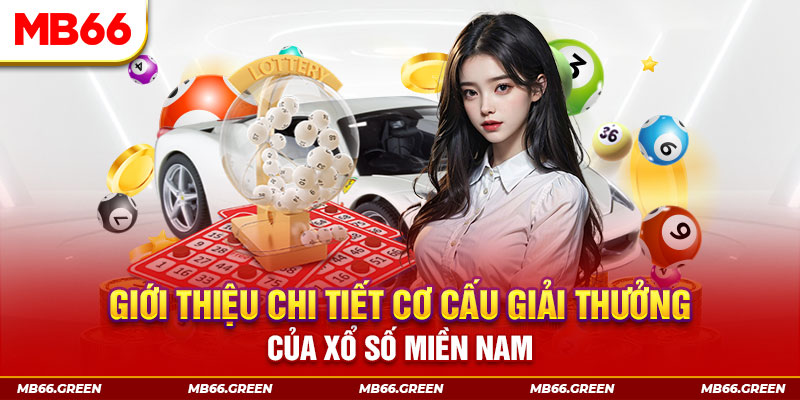 vipvin PP Điện Tử