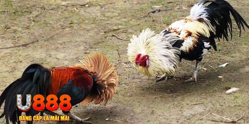 vipvin game nổ hũ là gì
