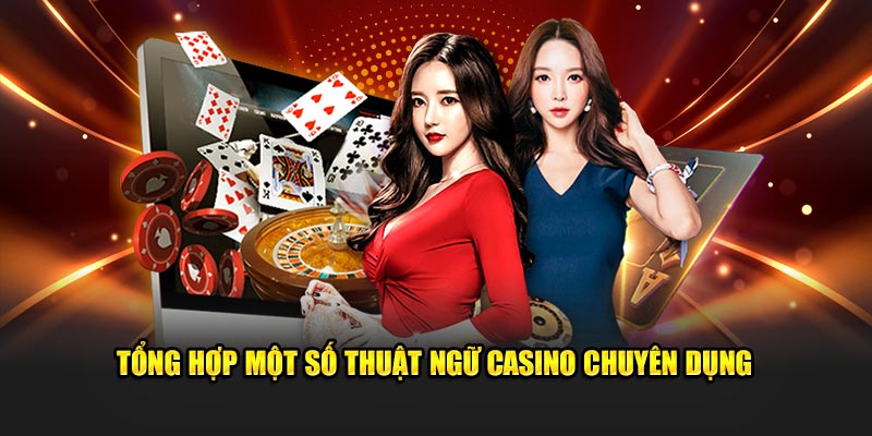 vipvin what is a virtual casino